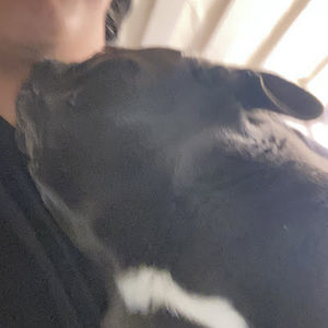 Meet your Posher, Enrui